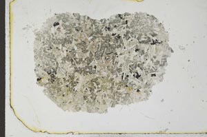 Plane Polarized, S23832
