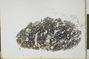 Plane Polarized, S23834