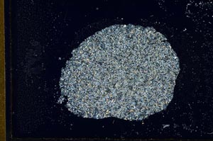 Cross Polarized, S23846