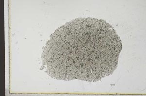 Plane Polarized, S23846