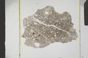 Plane Polarized, S23850