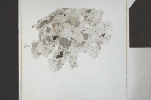 Plane Polarized, S23852
