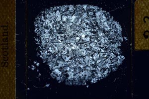 Cross Polarized, S23856