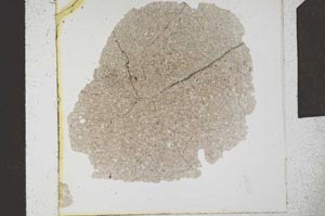 Plane Polarized, S23858