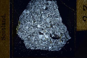 Cross Polarized, S23863