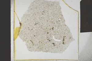 Plane Polarized, S23863