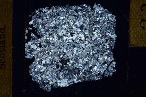 Cross Polarized, S23864