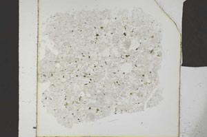 Plane Polarized, S23864