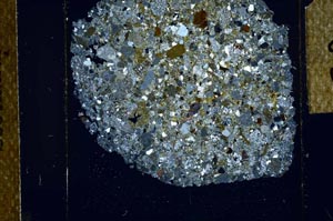 Cross Polarized, S23865