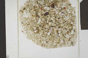 Plane Polarized, S23865