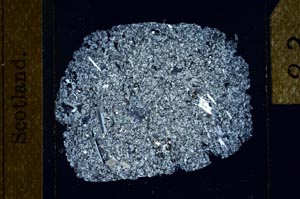 Cross Polarized, S23866