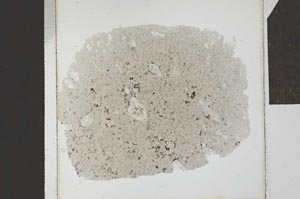 Plane Polarized, S23866