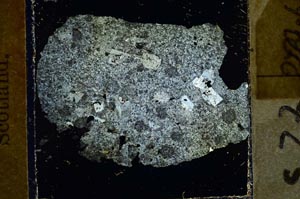 Cross Polarized, S23868