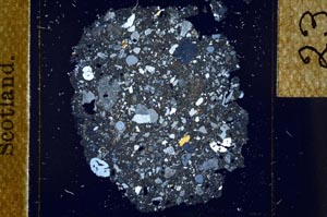 Cross Polarized, S23869