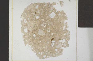 Plane Polarized, S23869