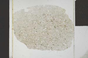 Plane Polarized, S23870