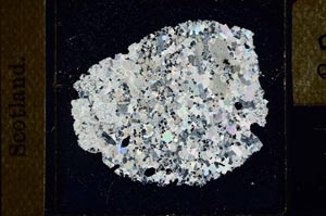 Cross Polarized, S23876