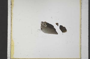 Plane Polarized, S23876/A