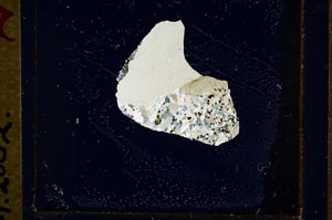 Cross Polarized, S23876/A'