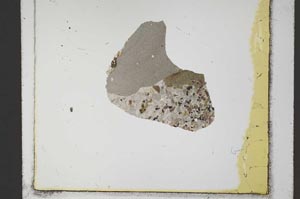 Plane Polarized, S23876/A'