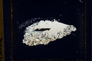 Cross Polarized, S23876/b