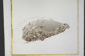 Plane Polarized, S23876/b