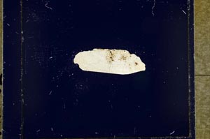 Cross Polarized, S23876/C