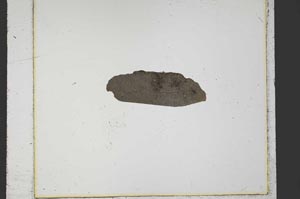 Plane Polarized, S23876/C