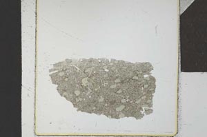 Plane Polarized, S23878