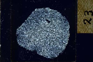 Cross Polarized, S23882