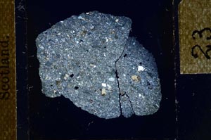 Cross Polarized, S23884