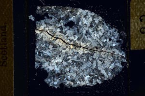 Cross Polarized, S23886