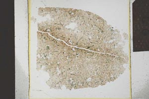 Plane Polarized, S23886