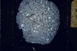 Cross Polarized, S23887