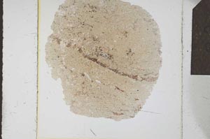 Plane Polarized, S23887