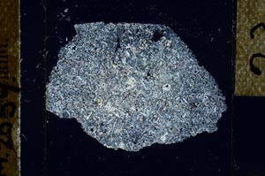 Cross Polarized, S23888