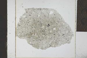 Plane Polarized, S23888