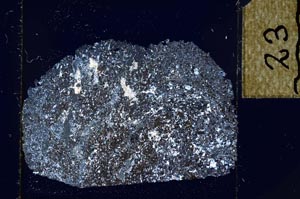 Cross Polarized, S23889