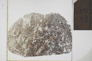 Plane Polarized, S23889