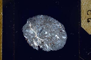 Cross Polarized, S23890