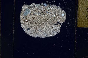 Cross Polarized, S23891