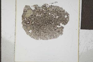 Plane Polarized, S23891