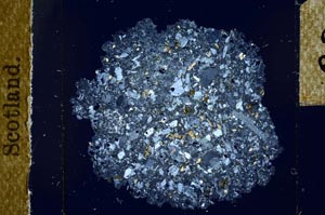 Cross Polarized, S23892