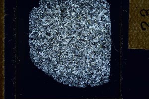 Cross Polarized, S23893