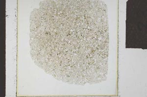 Plane Polarized, S23893