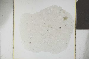 Plane Polarized, S23901