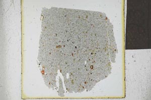 Plane Polarized, S23907