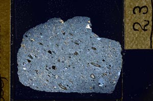 Cross Polarized, S23909