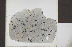 Plane Polarized, S23909