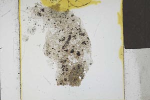 Plane Polarized, S23911/a